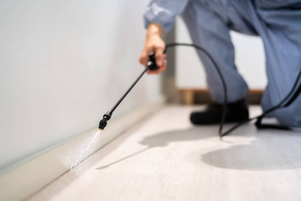 Best Pest Control Near Me in Morton, WA