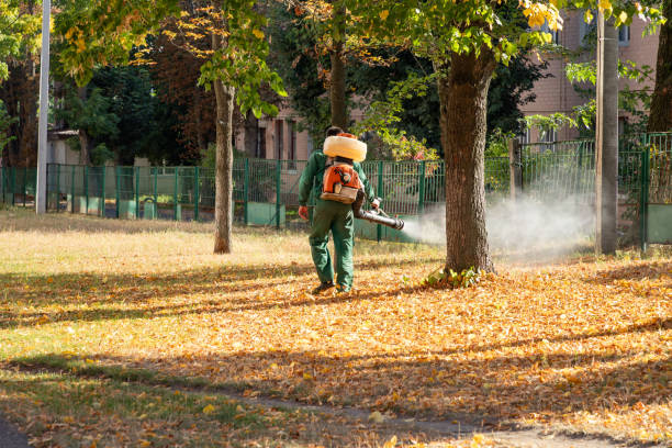 Best Rat Extermination Near Me  in Morton, WA