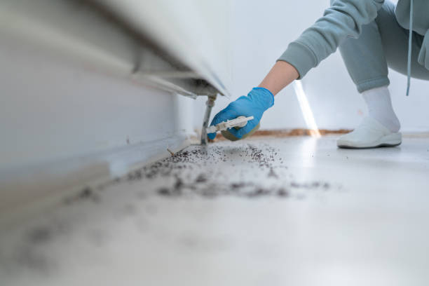 Best Residential Pest Control  in Morton, WA